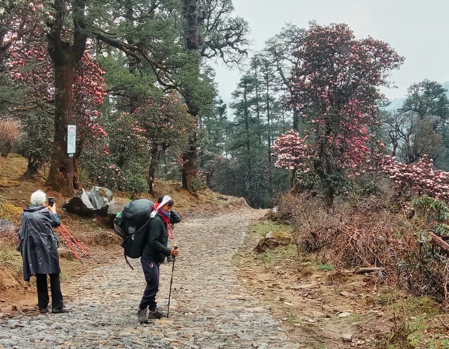 Pikey Peak Trek in Spring
